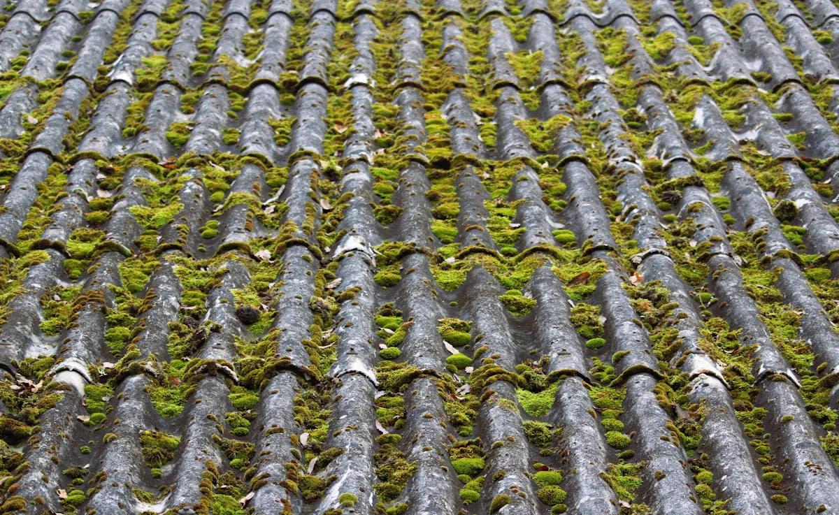 Artisan couvreur à Rouen — BOUTEL COUVERTURE